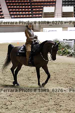 Proof Number 10r9_6276