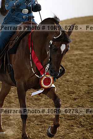 Proof Number 10r9_6278
