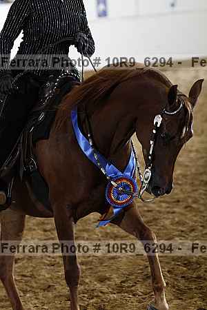Proof Number 10r9_6294
