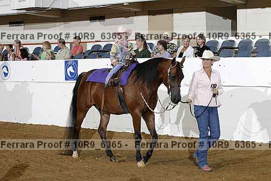 Proof Number 10r9_6365