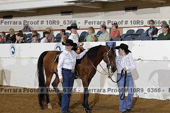 Proof Number 10r9_6366