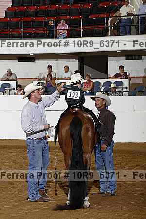 Proof Number 10r9_6371
