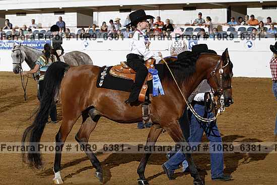Proof Number 10r9_6381