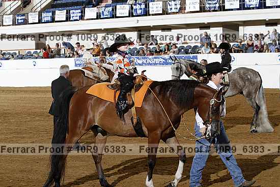 Proof Number 10r9_6383