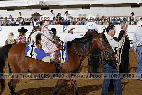 Proof Number 10r9_6390