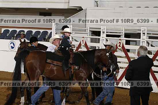 Proof Number 10r9_6399