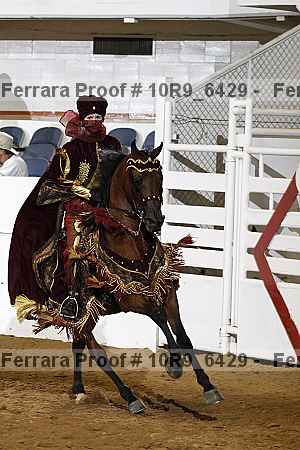 Proof Number 10r9_6429
