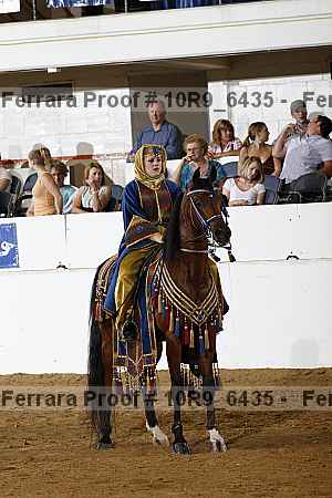 Proof Number 10r9_6435