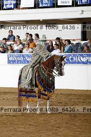 Proof Number 10r9_6436