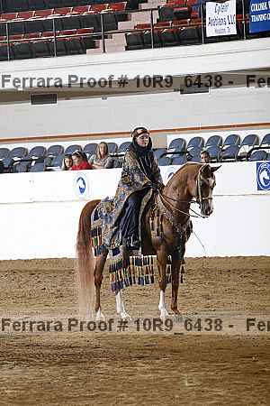 Proof Number 10r9_6438