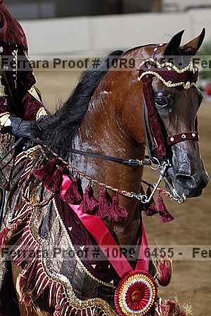 Proof Number 10r9_6455