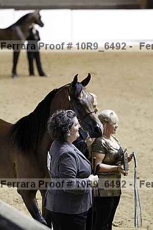 Proof Number 10r9_6492