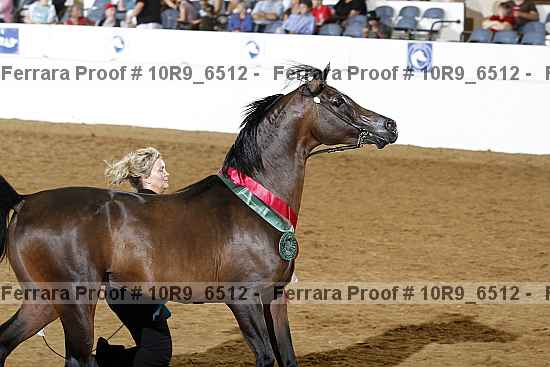 Proof Number 10r9_6512