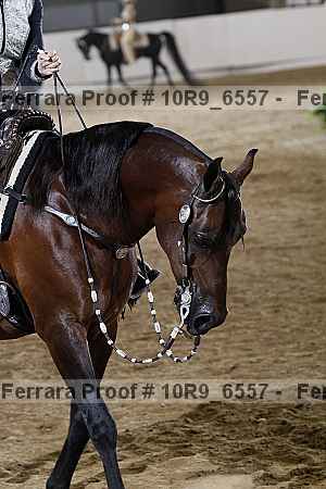 Proof Number 10r9_6557