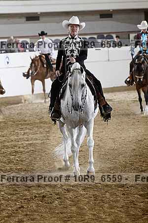 Proof Number 10r9_6559