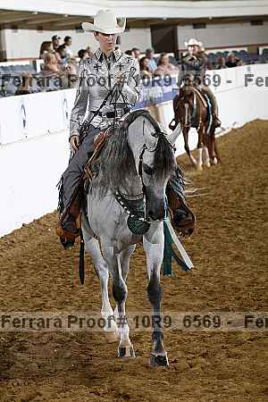 Proof Number 10r9_6569