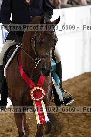 Proof Number 10r9_6609