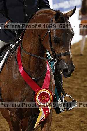 Proof Number 10r9_6611