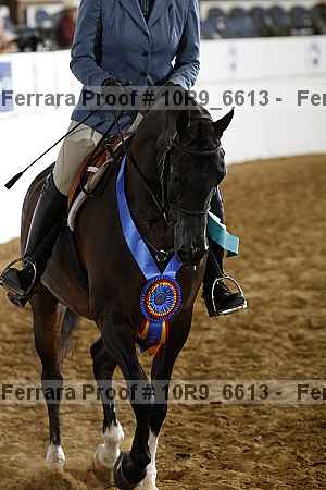 Proof Number 10r9_6613