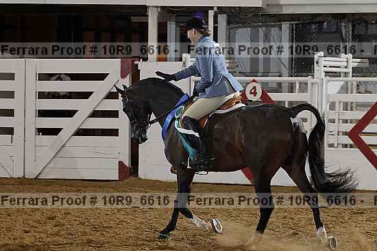 Proof Number 10r9_6616