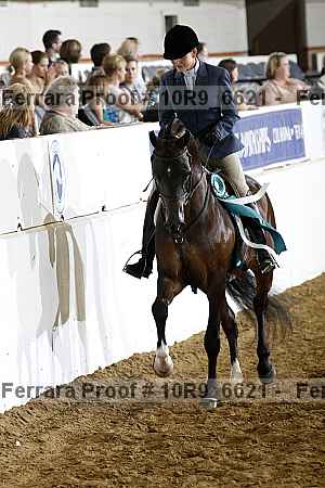 Proof Number 10r9_6621
