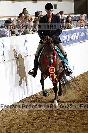 Proof Number 10r9_6625