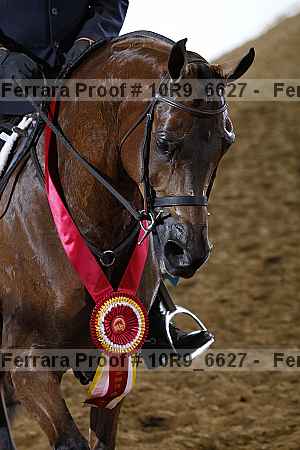 Proof Number 10r9_6627