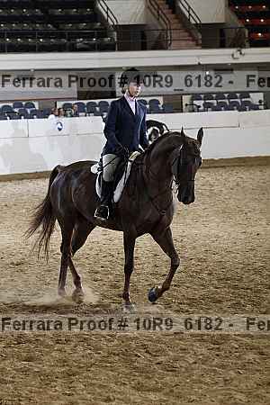 Proof Number 10r9_6182