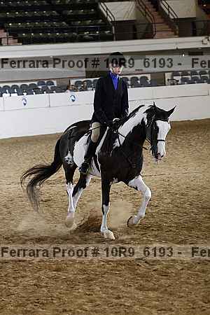 Proof Number 10r9_6193