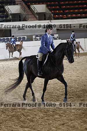 Proof Number 10r9_6194