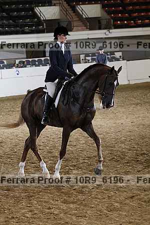 Proof Number 10r9_6196