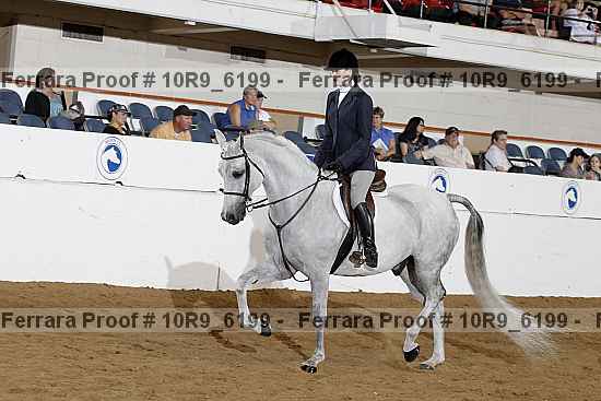 Proof Number 10r9_6199