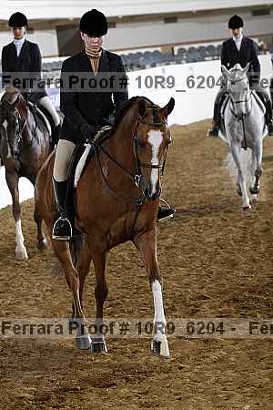 Proof Number 10r9_6204