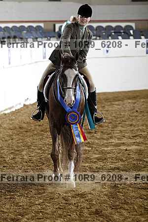 Proof Number 10r9_6208