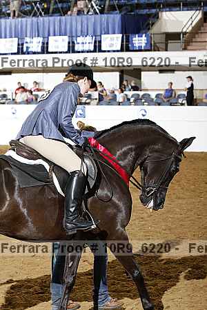 Proof Number 10r9_6220