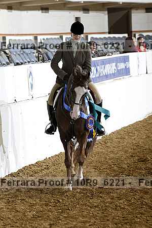 Proof Number 10r9_6221