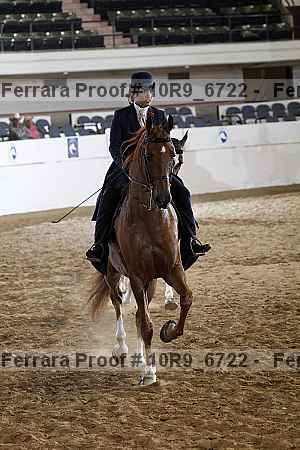 Proof Number 10r9_6722