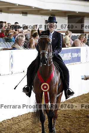 Proof Number 10r9_6740