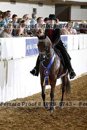 Proof Number 10r9_6743