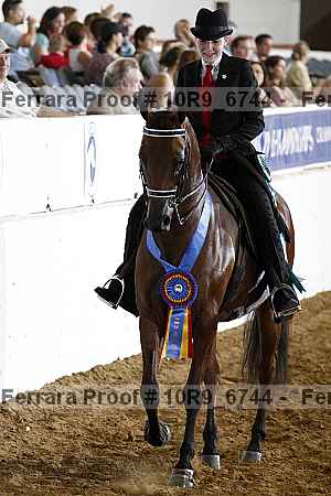 Proof Number 10r9_6744