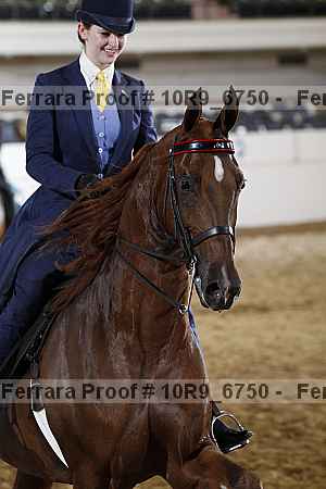 Proof Number 10r9_6750