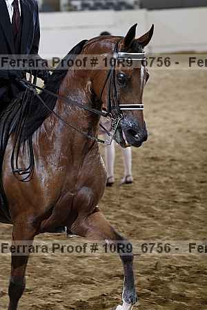 Proof Number 10r9_6756