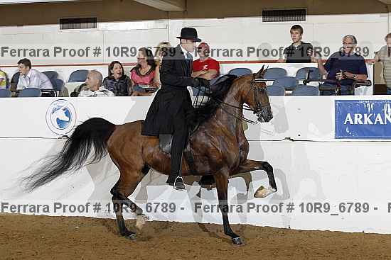Proof Number 10r9_6789