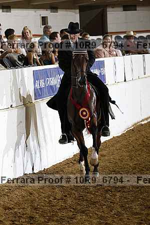 Proof Number 10r9_6794