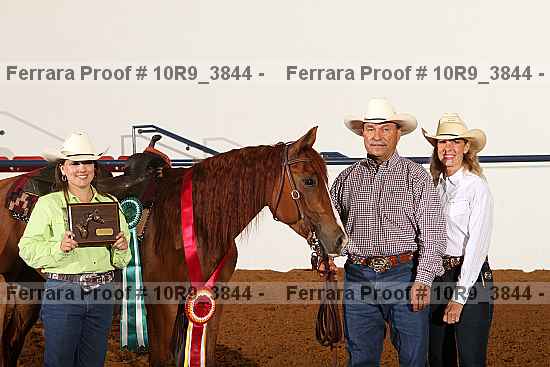 Proof Number 10r9_3844