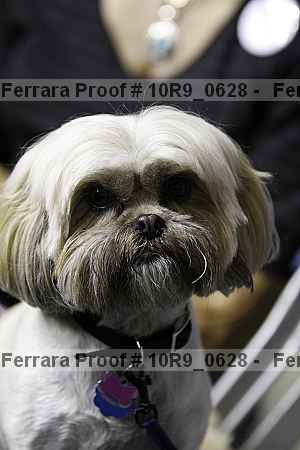 Proof Number 10r9_0628