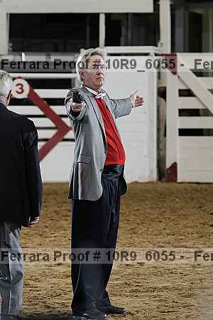 Proof Number 10r9_6055
