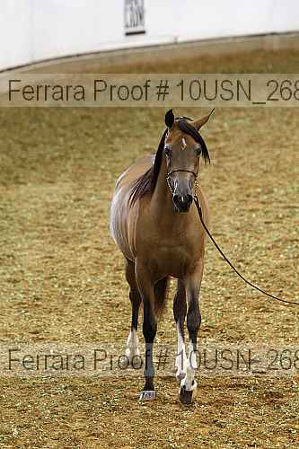 Proof Number 10usn_26867