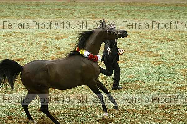 Proof Number 10usn_26039