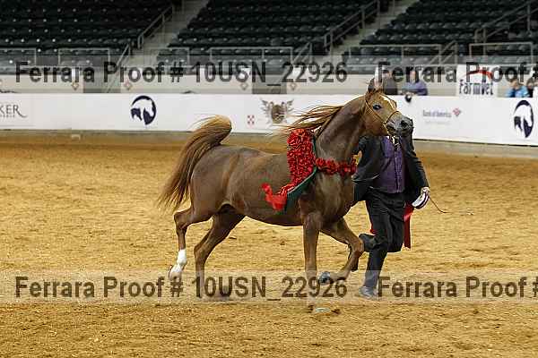 Proof Number 10usn_22926